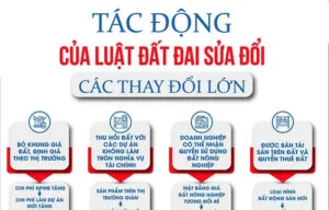thị trường bds căn hộ sau 2025